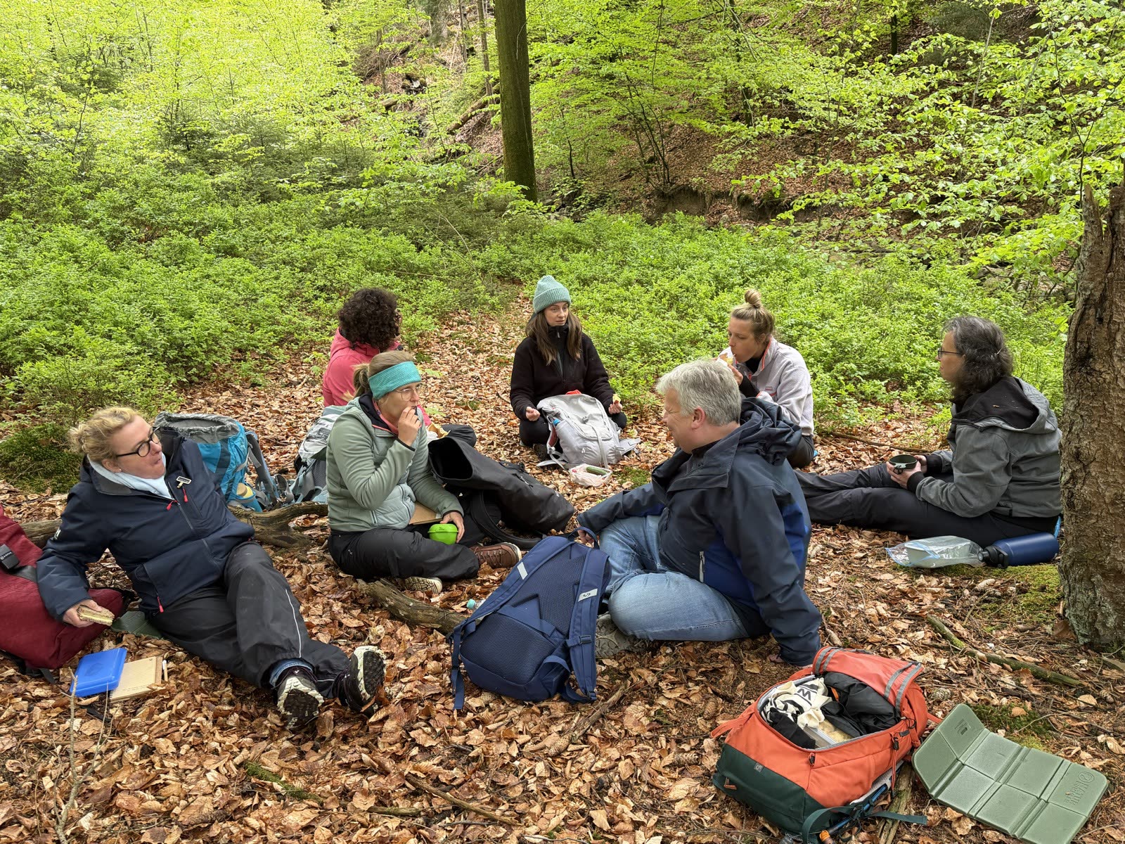 Eine Gruppe sitzt auf dem Waldboden im Kreis zusammen.