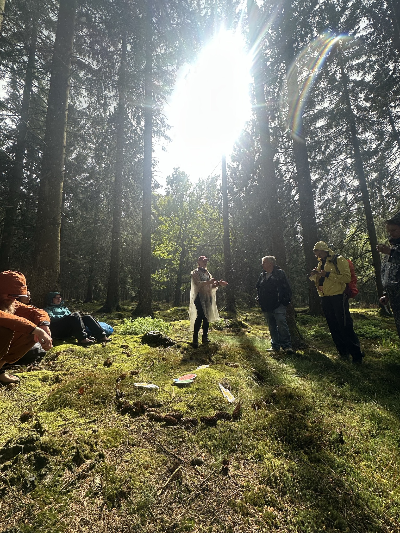 Eine Gruppe erlebt einen Workshop gemeinsam draußen im Wald.
